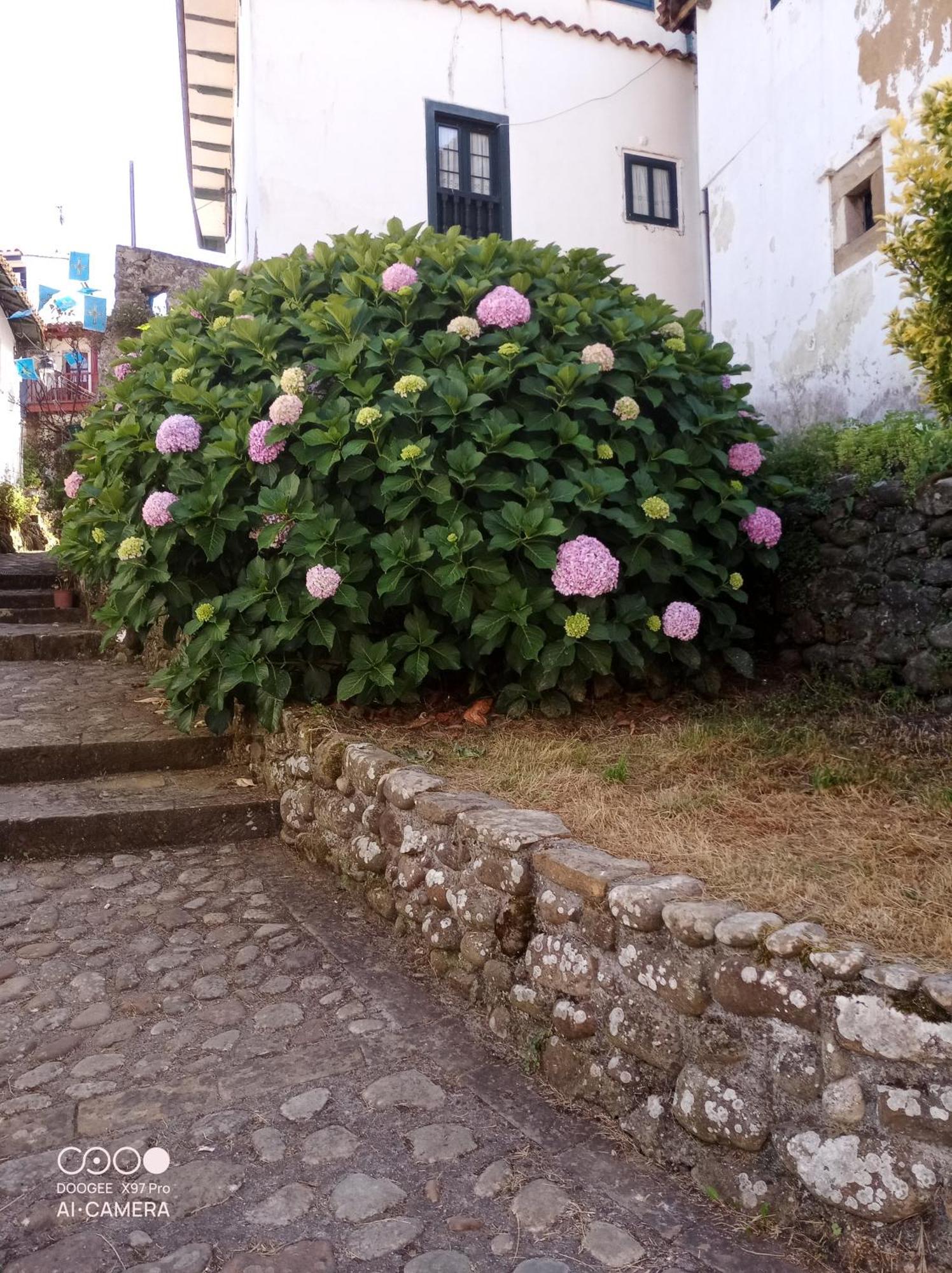 Tazones 79 Vut6993As Daire Dış mekan fotoğraf